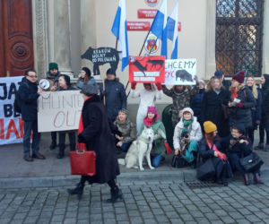 W Krakowie będą polować w najlepsze. Radni odrzucili rezolucję do władz województwa