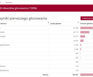 Wybory prezydenckie 2020: Jak głosowali mieszkańcy Podkarpacia
