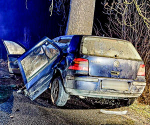 Na zakręcie pojechali prosto, ze sobą wieźli dwa duże psy. Czy któryś z nich ugryzł kierowcę?