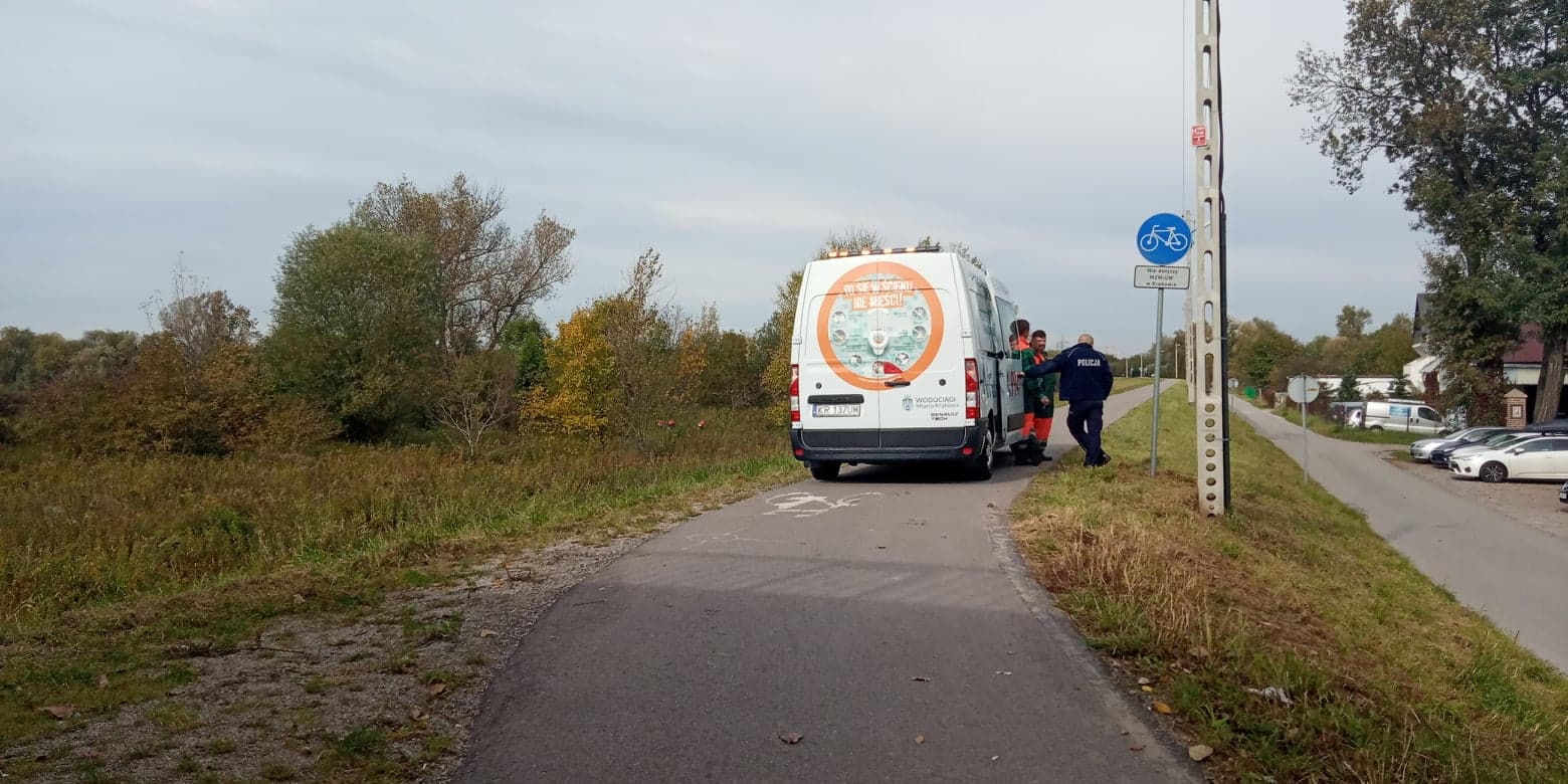 Plama na Wiśle