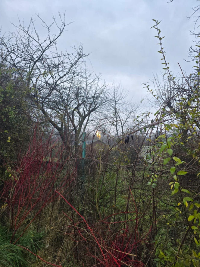 Słup ognia nad Krakowem. Potężny pożar gazu na popularnym osiedlu