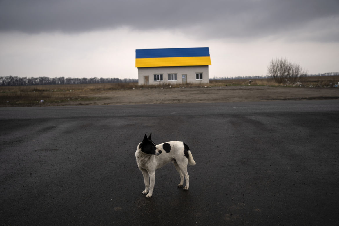 Wojna na Ukrainie