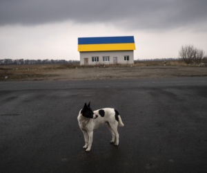 Wojna na Ukrainie