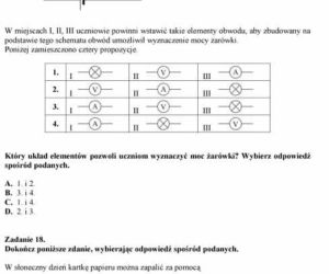 Próbny EGZAMIN GIMNAZJALNY grudzień 2011 - PRZEDMIOTY PRZYRODNICZE: Biologia, chemia, fizyka, geografia: jakie były PYTANIA, ARKUSZE, ODPOWIEDZI, PRZECIEKI