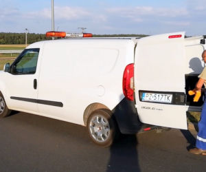 Maluch głośno miauczał i mógł tam ZGINĄĆ. Uratowali go inspektorzy z Gniezna