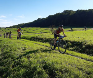 Finał Pucharu Tarnowa MTB