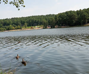Postój dla kamperów, pole namiotowe. Są pomysły na przebudowę otoczenia Rejowa