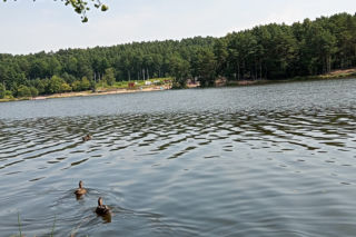 Postój dla kamperów, pole namiotowe. Są pomysły na przebudowę otoczenia Rejowa