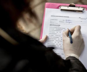 Mieszkańcy Krakowa chętnie adoptują psy w czasie koronawirusa