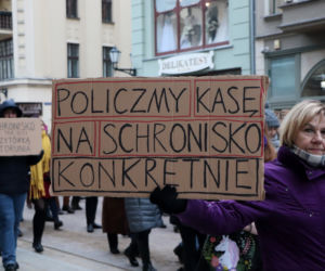 Oni mówią głosem zwierząt! Tak wygladał marsz w obronie zwierząt z Toruńskiego Schroniska [GALERIA, AUDIO]