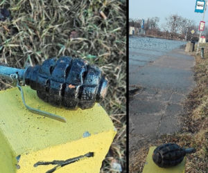 Granat na przystanku w Gdańsku