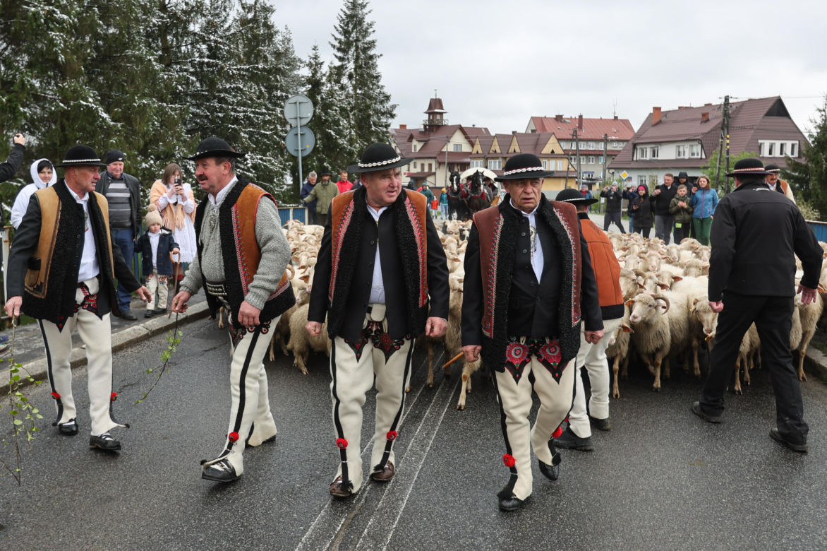 Redyk i Święto Bacowskie w Ludźmierzu
