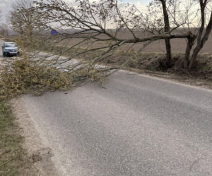 Zerwane dachy, powalone drzewa i prawie 11 tysięcy odbiorców bez prądu!