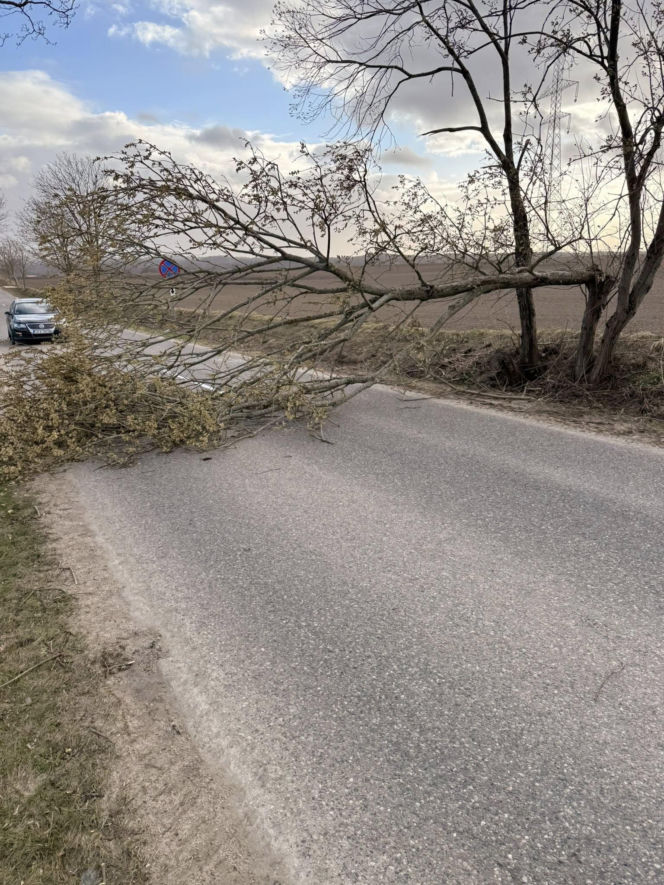 Zerwane dachy, powalone drzewa i prawie 11 tysięcy odbiorców bez prądu!