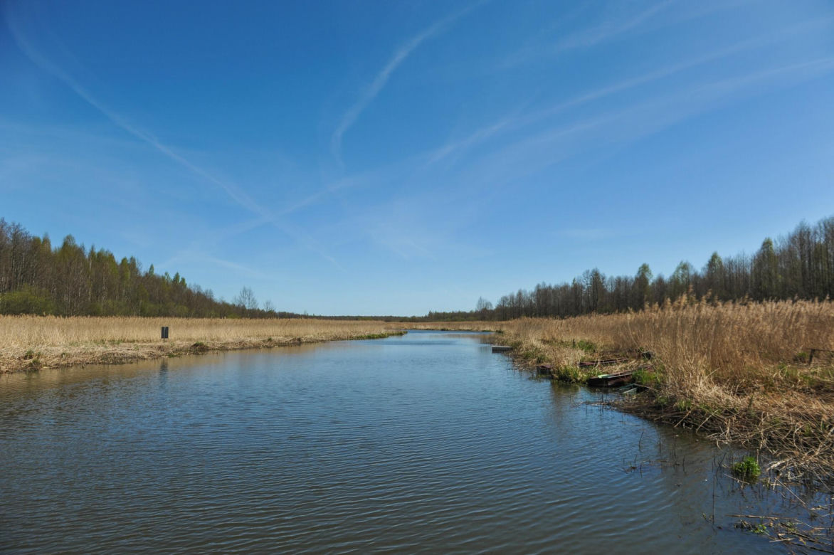 Biebrzański Park Narodowy
