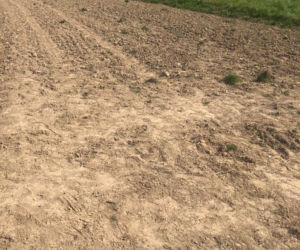 Uwaga przy pracach polowych! Są kolejne wypadki w naszym regionie