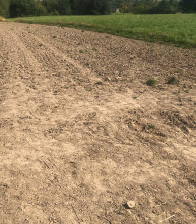 Uwaga przy pracach polowych! Są kolejne wypadki w naszym regionie