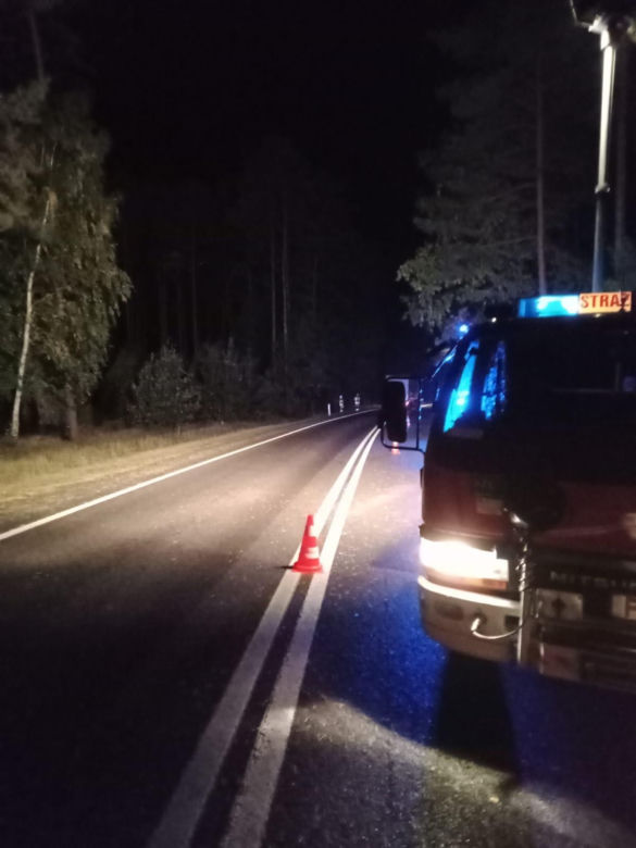 Wypadek między Krzeszycami a Lubniewicami