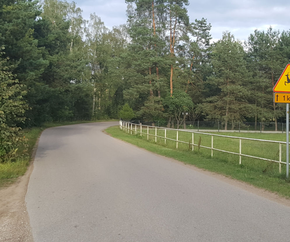 50 mln na drogi