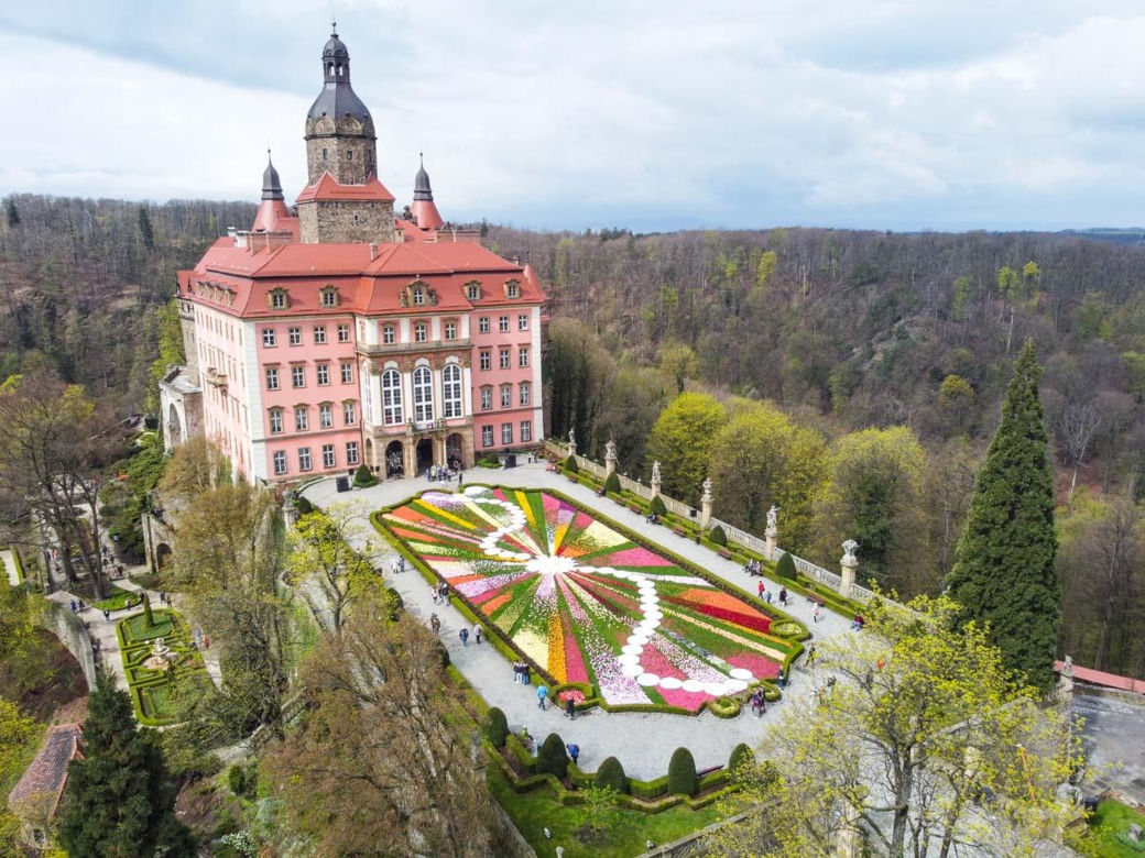 Festiwal Kwiatów 2025 w Wałbrzychu. Zamek Książ zamieni się w ogrodowy raj, lista atrakcji 