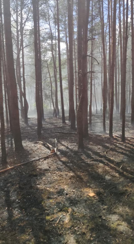 Walczyli z pożarem dwa dni! W akcji gaśniczej strażakom pomagali mieszkańcy!
