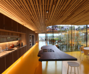 Maggie's Oldham - fot. Alex de Rijke, Jasmin Sohi & Jon Cardwell (3) (Copy)