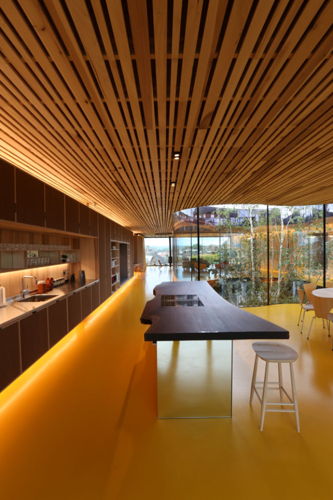 Maggie's Oldham - fot. Alex de Rijke, Jasmin Sohi & Jon Cardwell (3) (Copy)