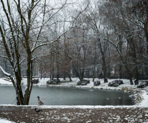 Skawiński park w zimowej otoczce