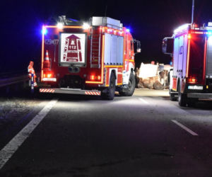 Tragiczna śmierć na drodze morsów z woj. lubelskiego