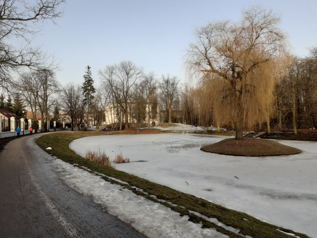 Siedleckie szkoły przy ul. Konarskiego i Prusa i ich okolica w lutym 2021 roku