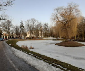 Siedleckie szkoły przy ul. Konarskiego i Prusa i ich okolica w lutym 2021 roku