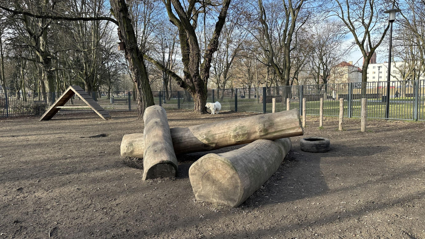 Psi park w Parku Staromiejskim w Łodzi
