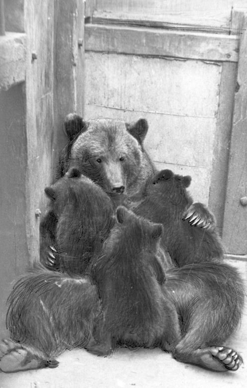 Pierwszy szkolny ogród zoologiczny w kraju powstał w Zamościu! Tak wyglądał 100 lat temu!