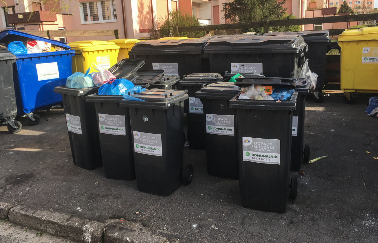 Bydgoszcz tonie w śmieciach. Będzie kolejna epidemia?