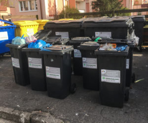 Bydgoszcz tonie w śmieciach. Będzie kolejna epidemia?