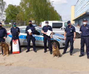 Harry, Boss, Taj - psy z bydgoskiej policji przeszły na emeryturę