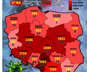 Koronawirus: Zobacz wykresy i prognozy – stan na 08.06 godz. 17.30