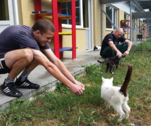 Więźniowie zajmują się zwierzętami w schronisku