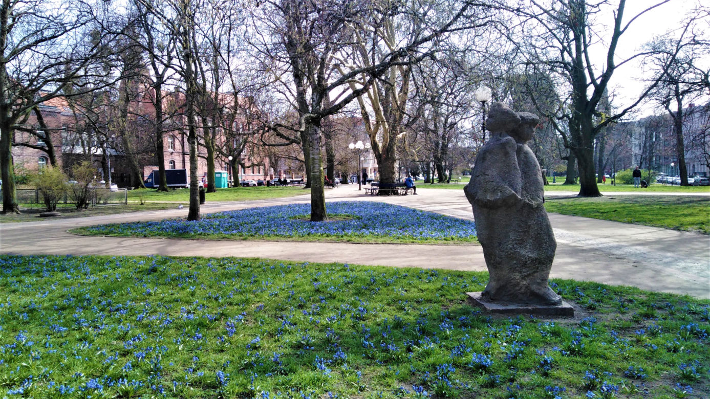 Cebulice w Szczecinie