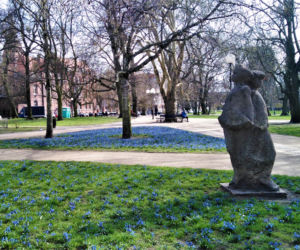 Cebulice w Szczecinie