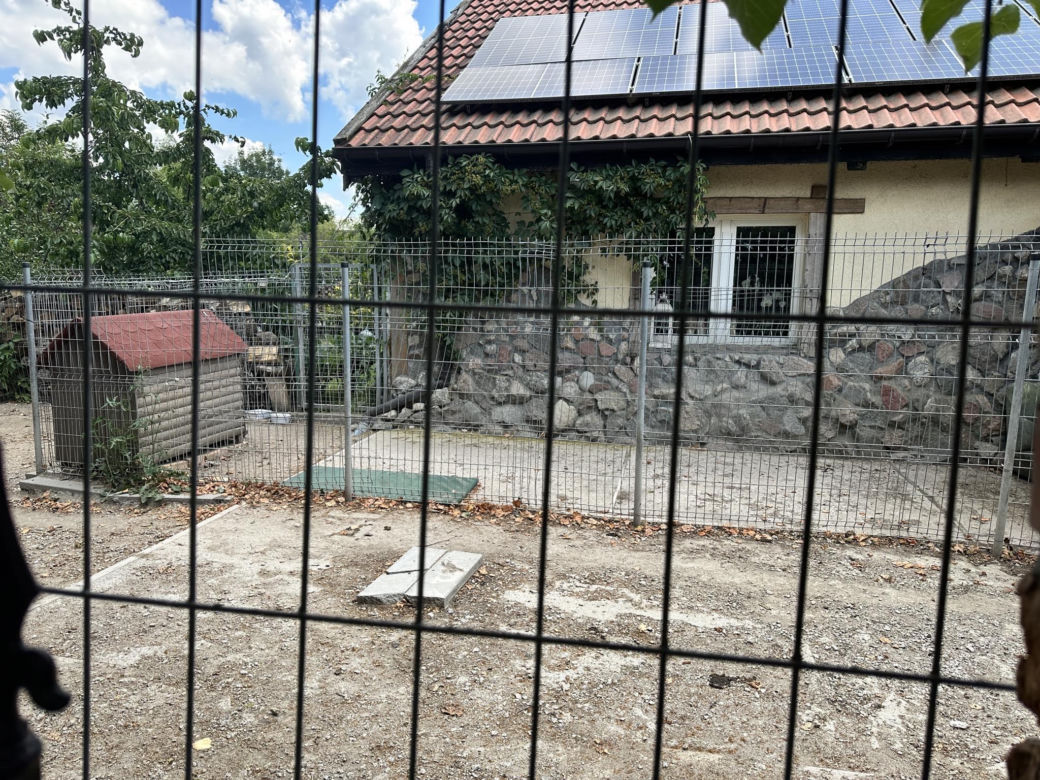 W tym miejscu psy rozszarpały 7-letnią Natalkę