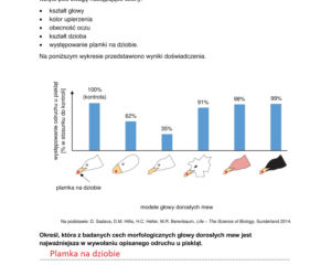 Matura 2022: biologia rozszerzona. Arkusze CKE, zadania, pytania. Poziom rozszerzony