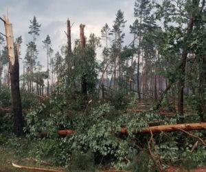 Niszczycielka nawałnica pod Świeciem! Przerażające zdjęcia