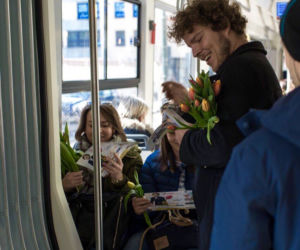 Dzień Kobiet 2019 w Krakowie. Znany społecznik rozda 2500 tulipanów na rondzie Mogilskim!