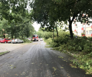 Jedną z dzielnic, któa ucierpiała najbardziej był Czechów Południowy