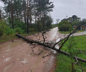 Fatalne skutki wichury w Bydgoszczy i okolicach! 