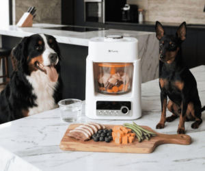 Prawdziwy hit w świecie pet premium: Tuanty wchodzi do Polski. Właściciele czworonogów będą zachwyceni 