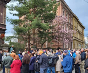 Szlak Kwitnących Magnolii