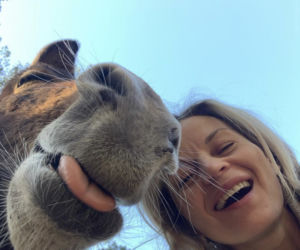 Małgorzata Foremniak uciekła na wieś