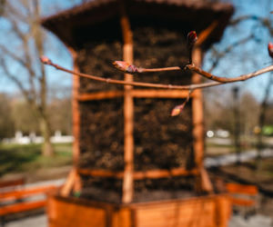 W Siedlcach powstała tężnia solankowa